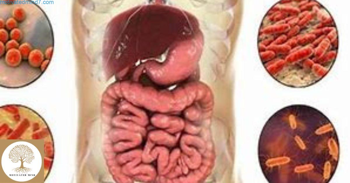 Gut Health Meaning In Hindi Motivatedmind7