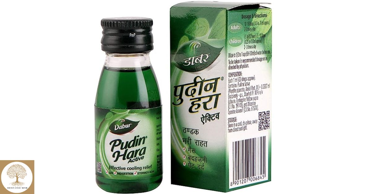 Dabur Pudin Hara