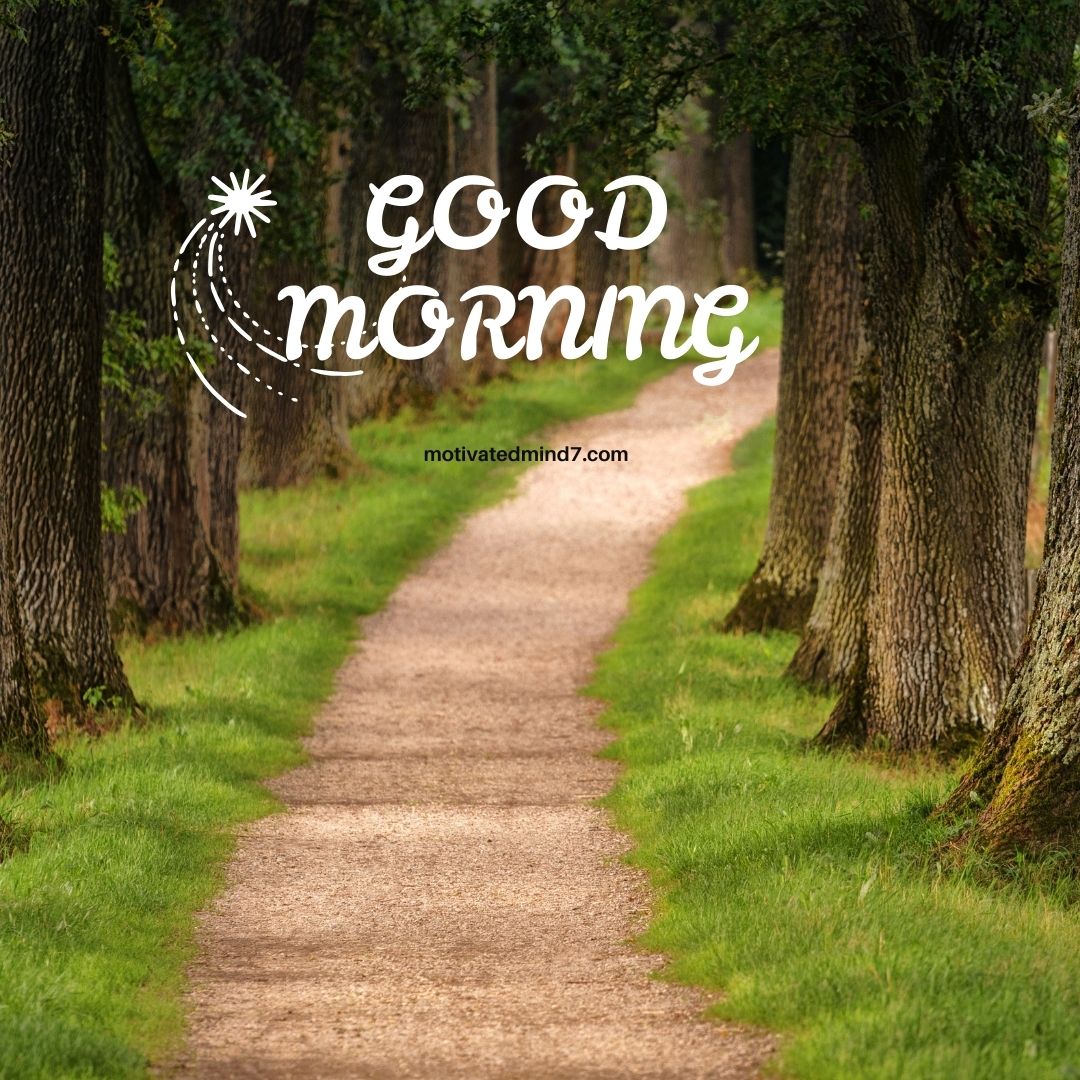 This good morning image shows a serene pathway lined with tall trees on both sides, with lush green grass bordering the path. The path appears to be in a forest or park setting.