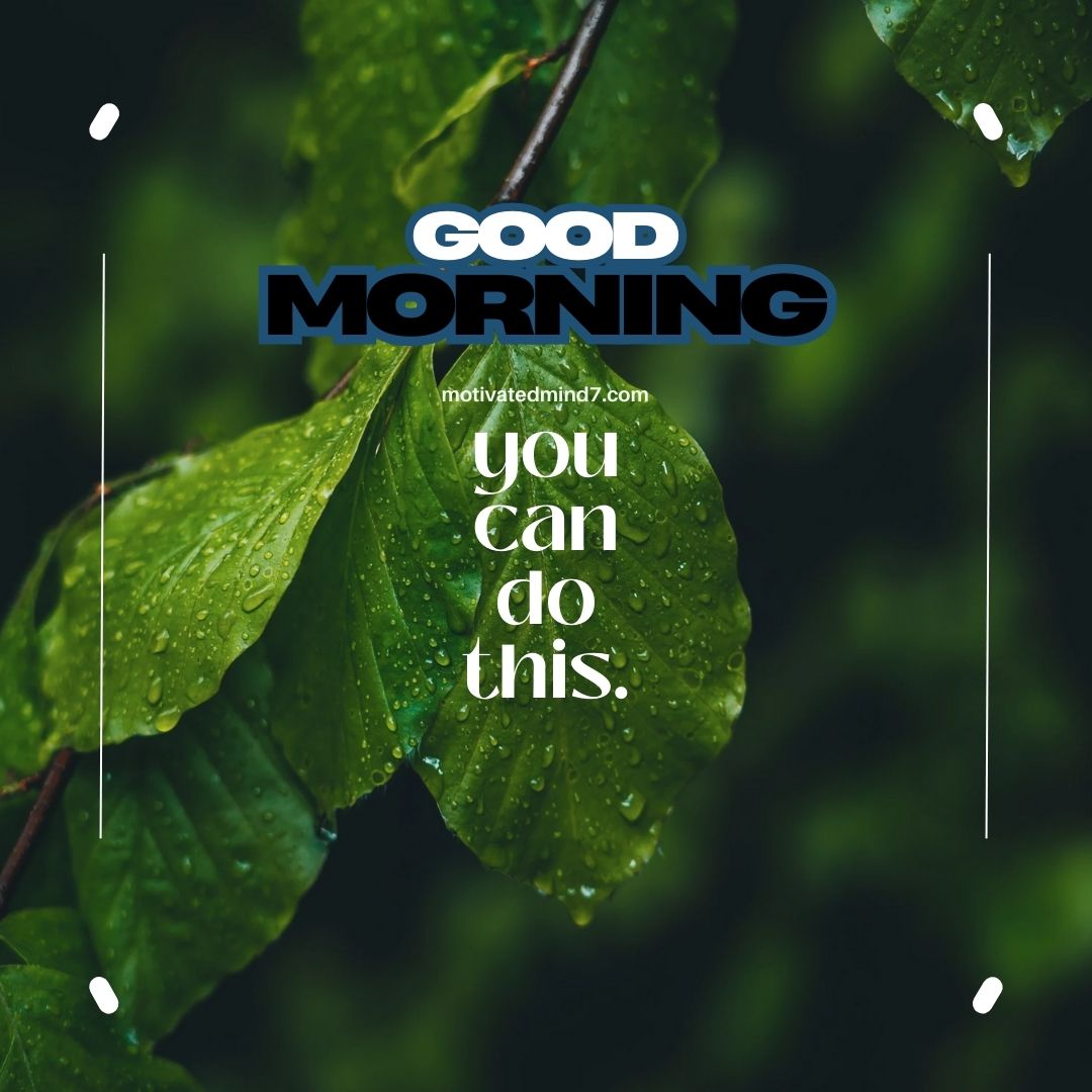 Good morning images.