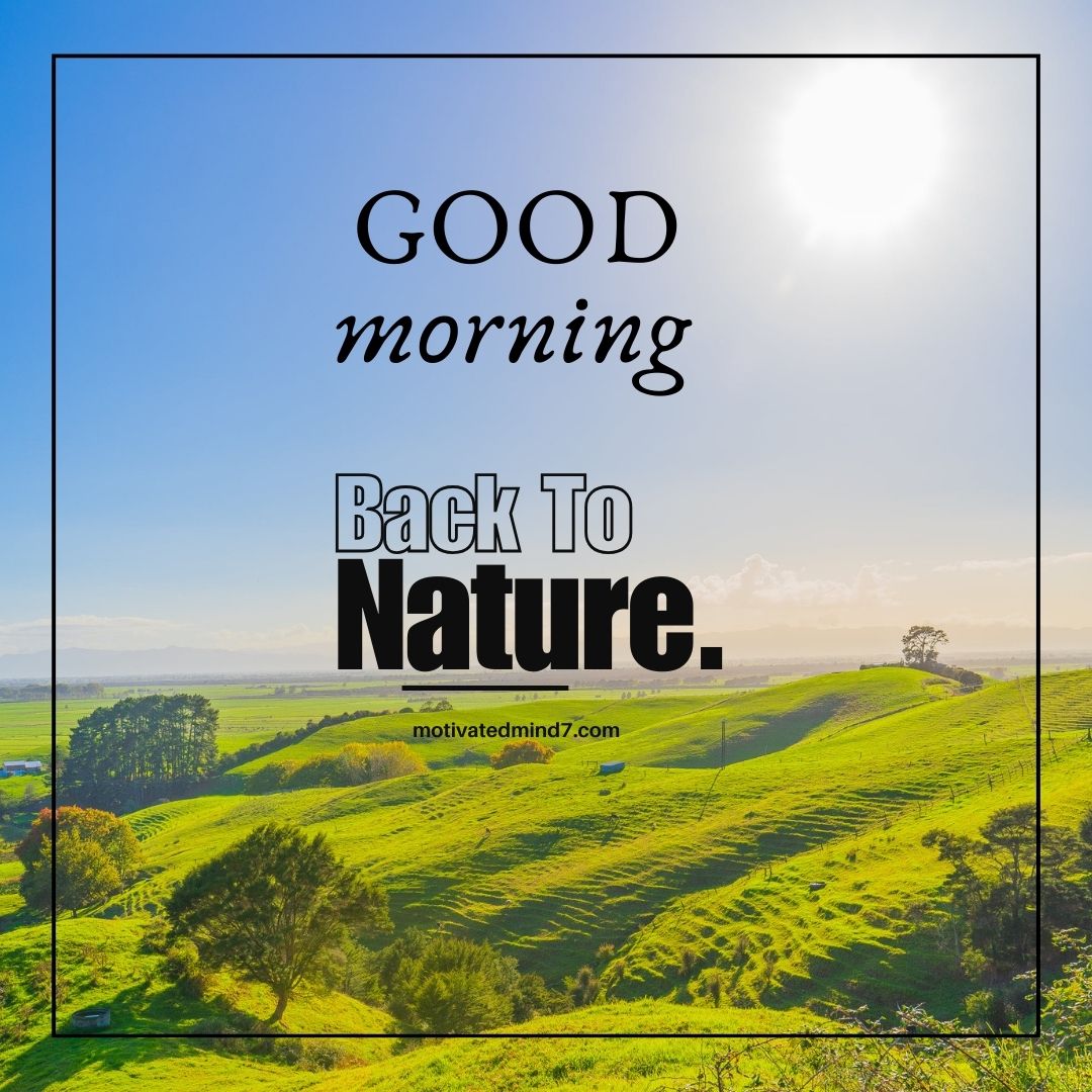 A breathtaking landscape of rolling green hills bathed in warm sunlight stretches into the distance, creating a peaceful and refreshing view. The sky is a clear, radiant blue with the bright sun shining, casting a soft glow over the scenery. The lush greenery, scattered trees, and gentle slopes evoke a sense of tranquility and a deep connection with nature. Overlaid on the image is a motivational morning greeting: 'GOOD morning' written in an elegant, black serif font. Below it, the bold phrase 'Back To Nature.' stands out in black and white, emphasizing the message of returning to the beauty and simplicity of the natural world. The website 'motivatedmind7.com' is subtly placed in the center, blending seamlessly with the inspiring theme. A thin black border frames the image, adding a structured yet minimalist touch to the design. This image conveys a sense of calmness, renewal, and appreciation for the natural world, making it a perfect visual for morning motivation.