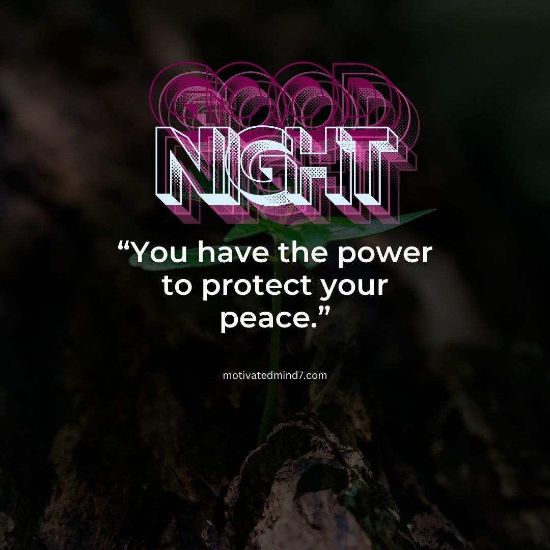 Inspirational Good Night Quote: 'You have the power to protect your peace' Overlaid on a Close-Up of a Plant with a Dark, Serene Background.