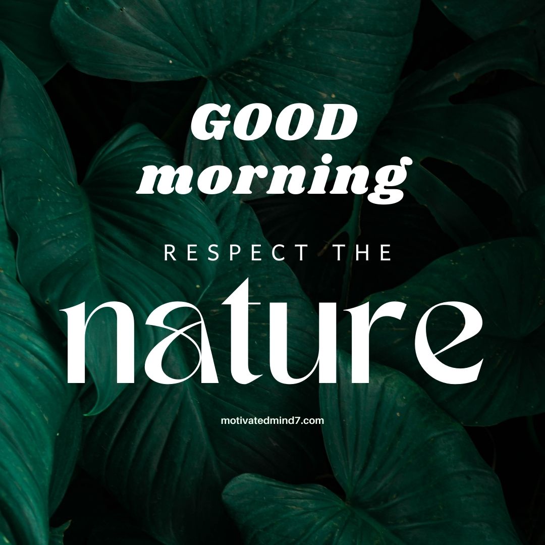 The image features a stunning close-up of lush, dark green tropical leaves, creating a rich and deep natural aesthetic. The dark background enhances the contrast, making the text stand out prominently. At the top, 'GOOD morning' is written in a bold, white, slightly italicized font, giving a warm and welcoming feel. Below, 'RESPECT THE' is written in a small, uppercase, minimalist font, reinforcing the theme of nature appreciation. The word 'nature' takes center stage in a large, elegant, modern serif font, adding sophistication and emphasizing the importance of respecting the environment. At the bottom, the website 'motivatedmind7.com' is subtly placed in small white text, maintaining the overall clean and stylish design. This image is visually powerful, blending nature’s beauty with an inspiring message about environmental consciousness.
