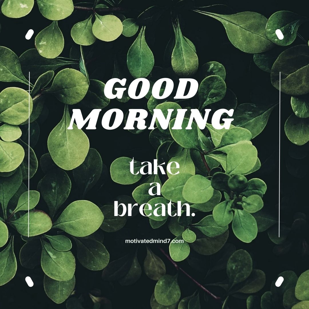A deep green background filled with fresh, vibrant leaves, creating a serene and natural atmosphere. The text "GOOD MORNING" is prominently displayed in bold, white, uppercase letters with a stylish, slightly italicized font, making it stand out. Below, the phrase "take a breath." is elegantly written in a minimalist lowercase font, encouraging mindfulness and relaxation. Thin white decorative lines and subtle abstract shapes in the corners add a modern, artistic touch to the design. At the bottom, the website "motivatedmind7.com" is subtly placed, ensuring brand presence without overwhelming the visual appeal.