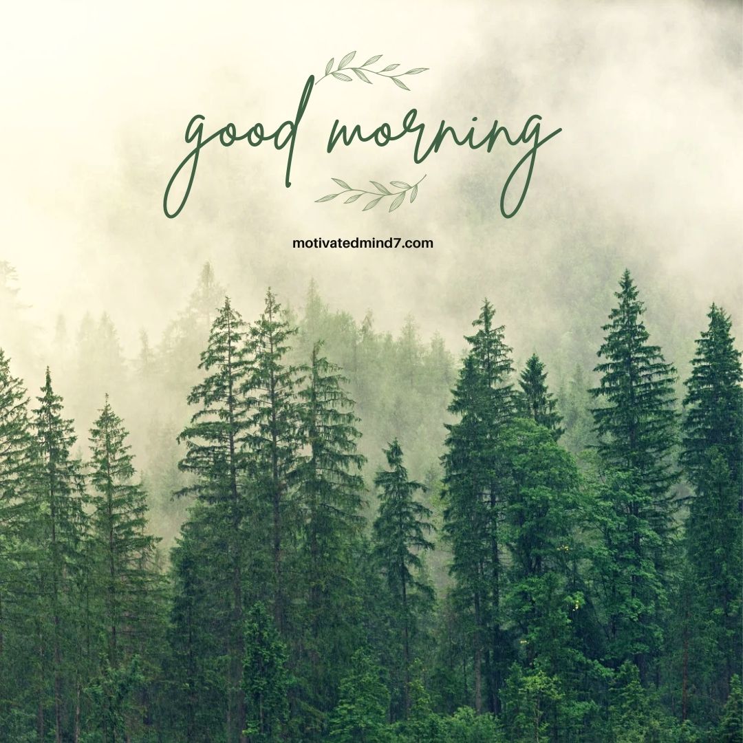 This serene and refreshing image captures a misty forest scene with lush green pine trees enveloped in soft fog. The words "Good Morning" are elegantly written in a delicate, nature-inspired font, harmonizing with the tranquil atmosphere. The mist adds a mystical and calming effect, making this image perfect for inspiring peace, mindfulness, and a fresh start to the day. It conveys a sense of renewal, connection with nature, and quiet reflection, ideal for those who appreciate the beauty of the natural world.