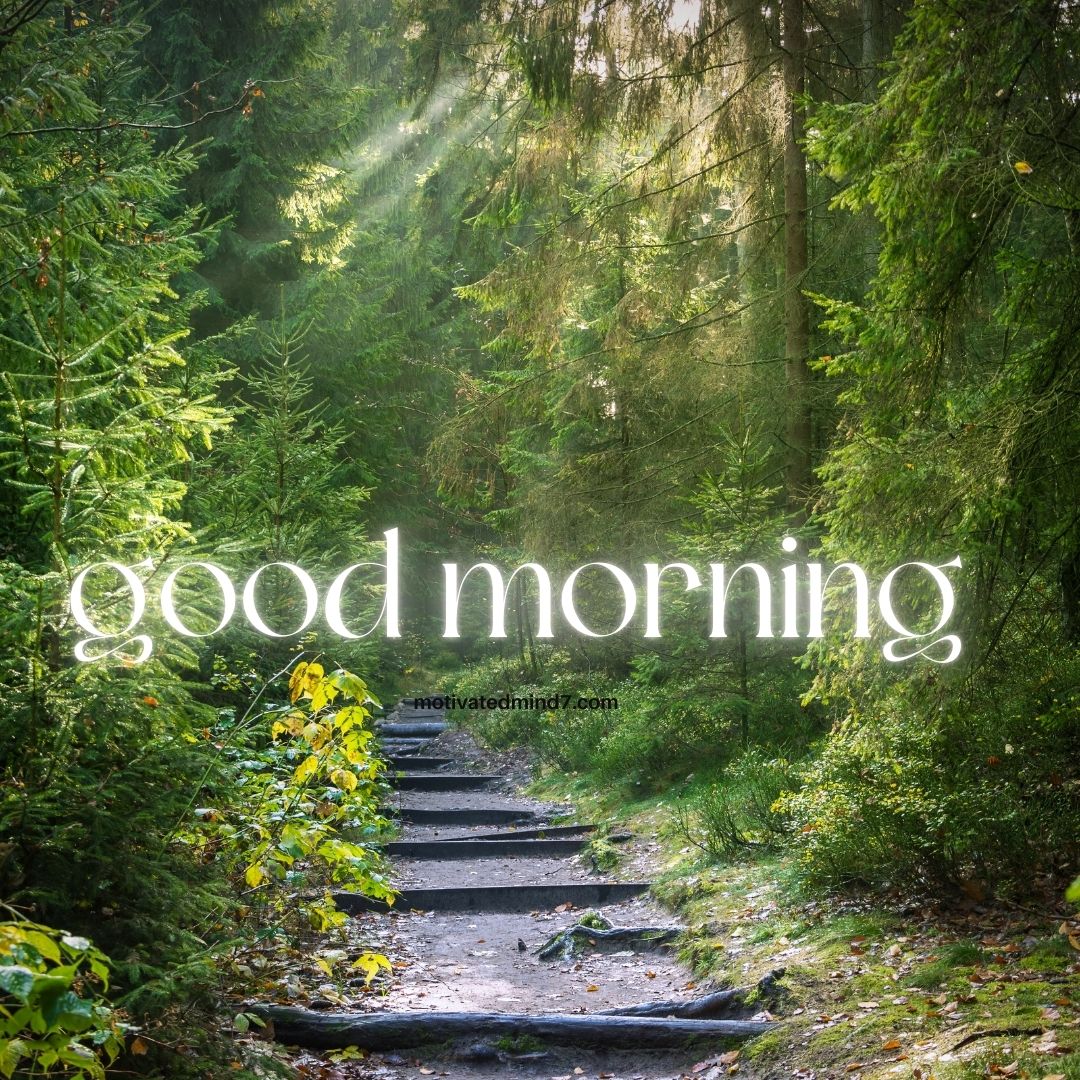 This beautiful "Good Morning" image features a peaceful forest path surrounded by lush greenery, with sunlight streaming through the trees, creating a magical glow. The inviting pathway symbolizes new beginnings, exploration, and positivity, making it a perfect representation of a fresh start to the day. The soft, glowing text blends harmoniously with the natural surroundings, enhancing the sense of calm and inspiration. This image evokes feelings of serenity, adventure, and a deep connection with nature, making it ideal for spreading morning motivation and peaceful vibes.