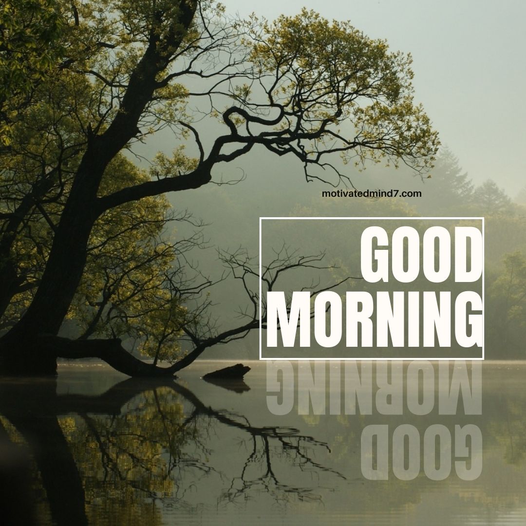 This "Good Morning" image captures a peaceful and reflective mood. The calm water, misty background, and twisted tree branches create a tranquil and meditative atmosphere, perfect for starting the day with clarity and mindfulness. The bold text with a reflection effect adds a modern touch, symbolizing depth and perspective. This image inspires a calm yet powerful mindset to embrace the day with focus and serenity. 