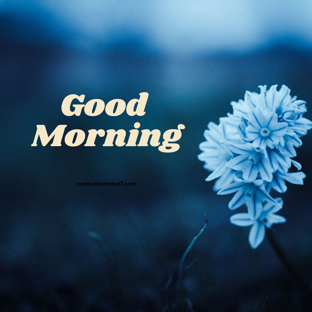good morning flower images