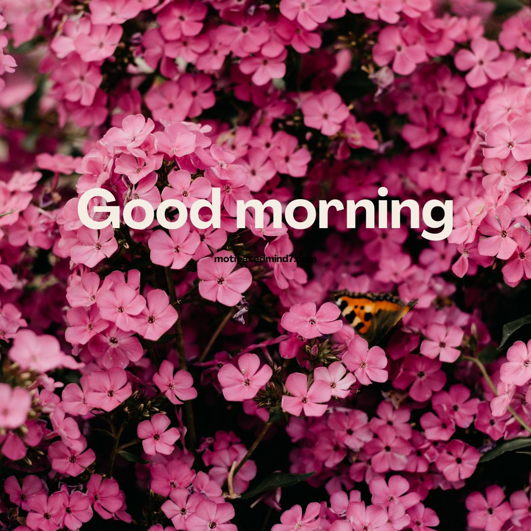 good morning flower images