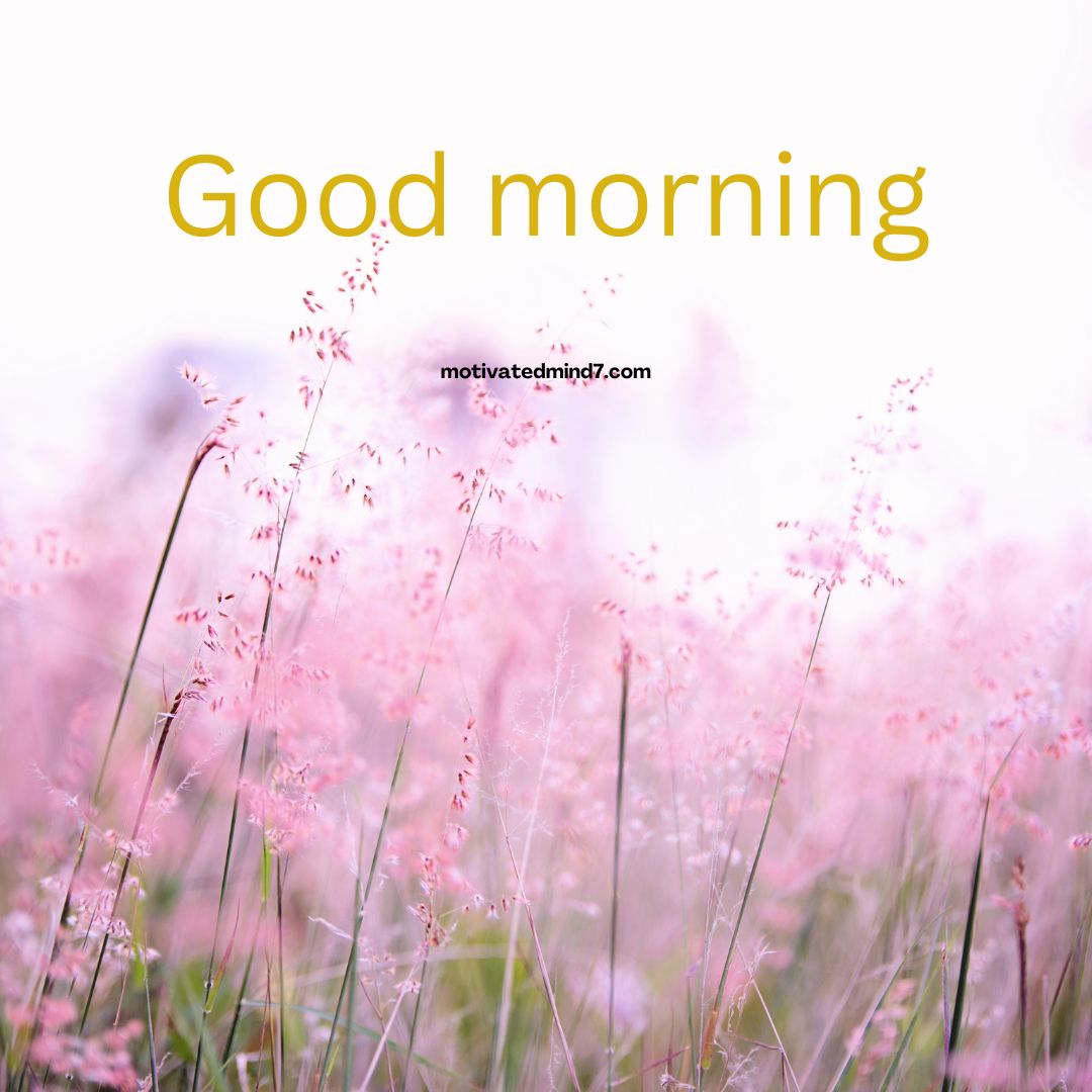 good morning flower images