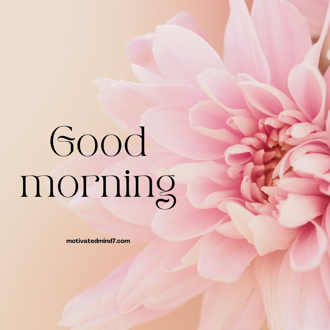 good morning flower images