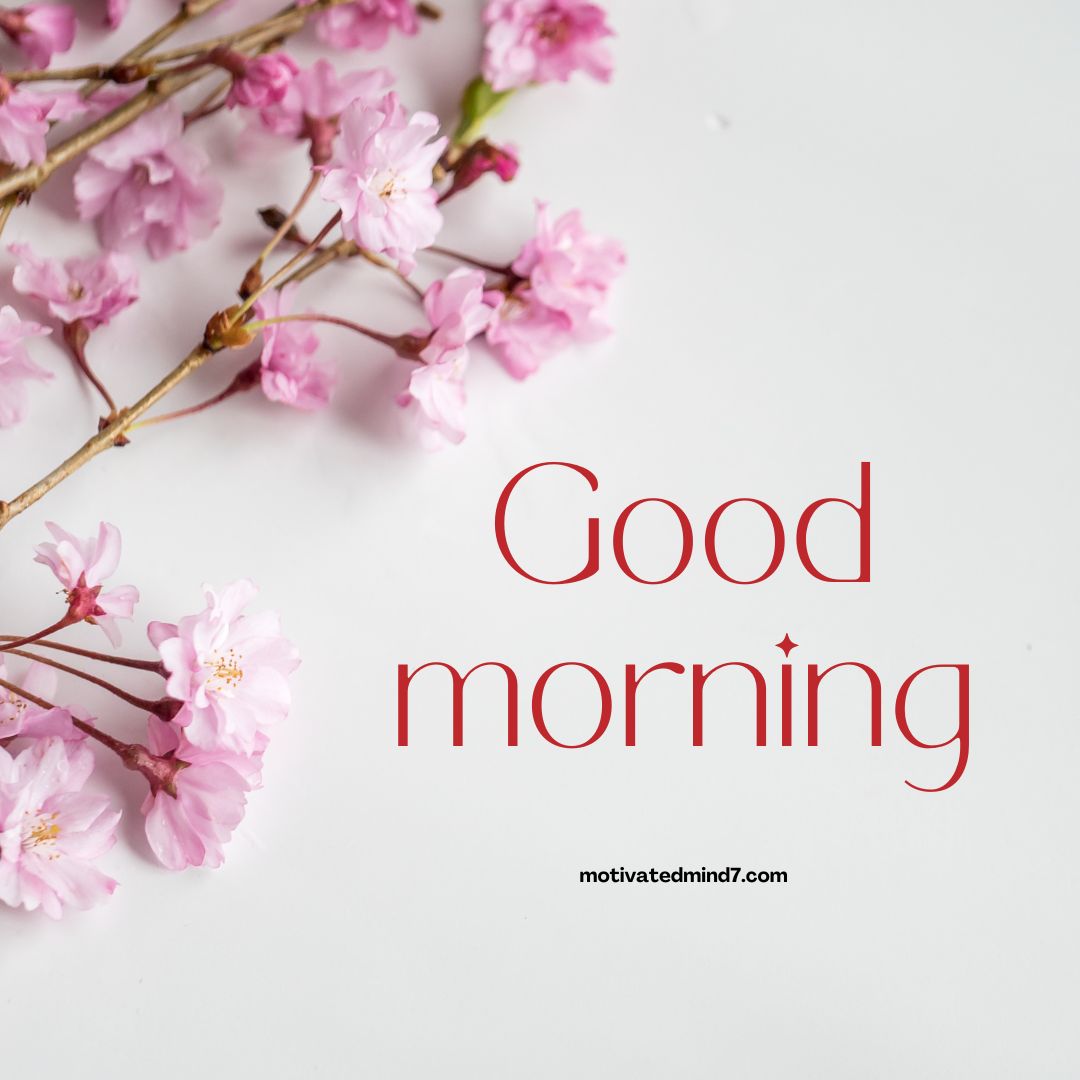 good morning flower images