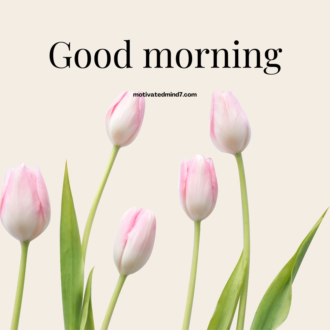 good morning flower images