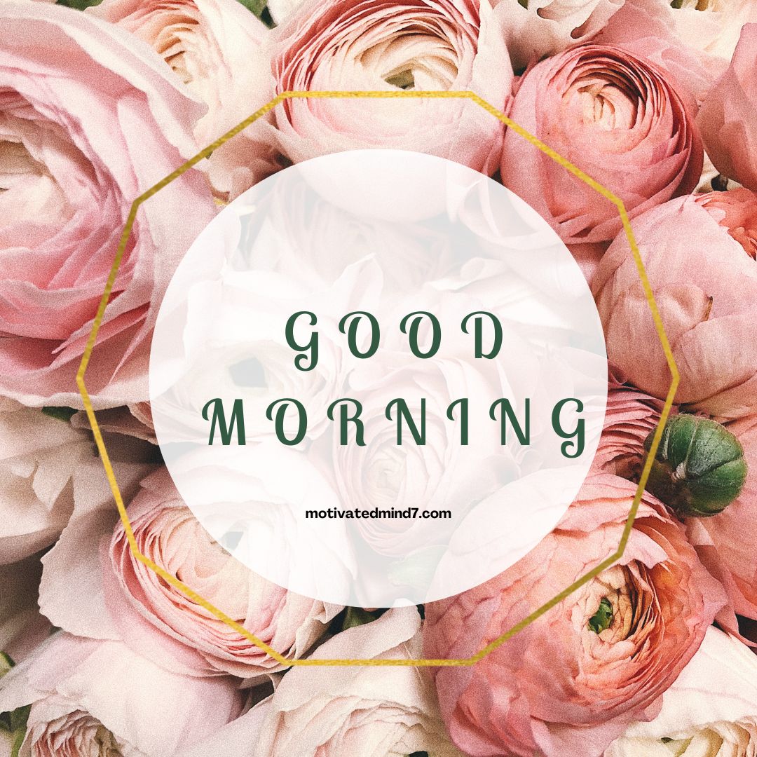 good morning flower images