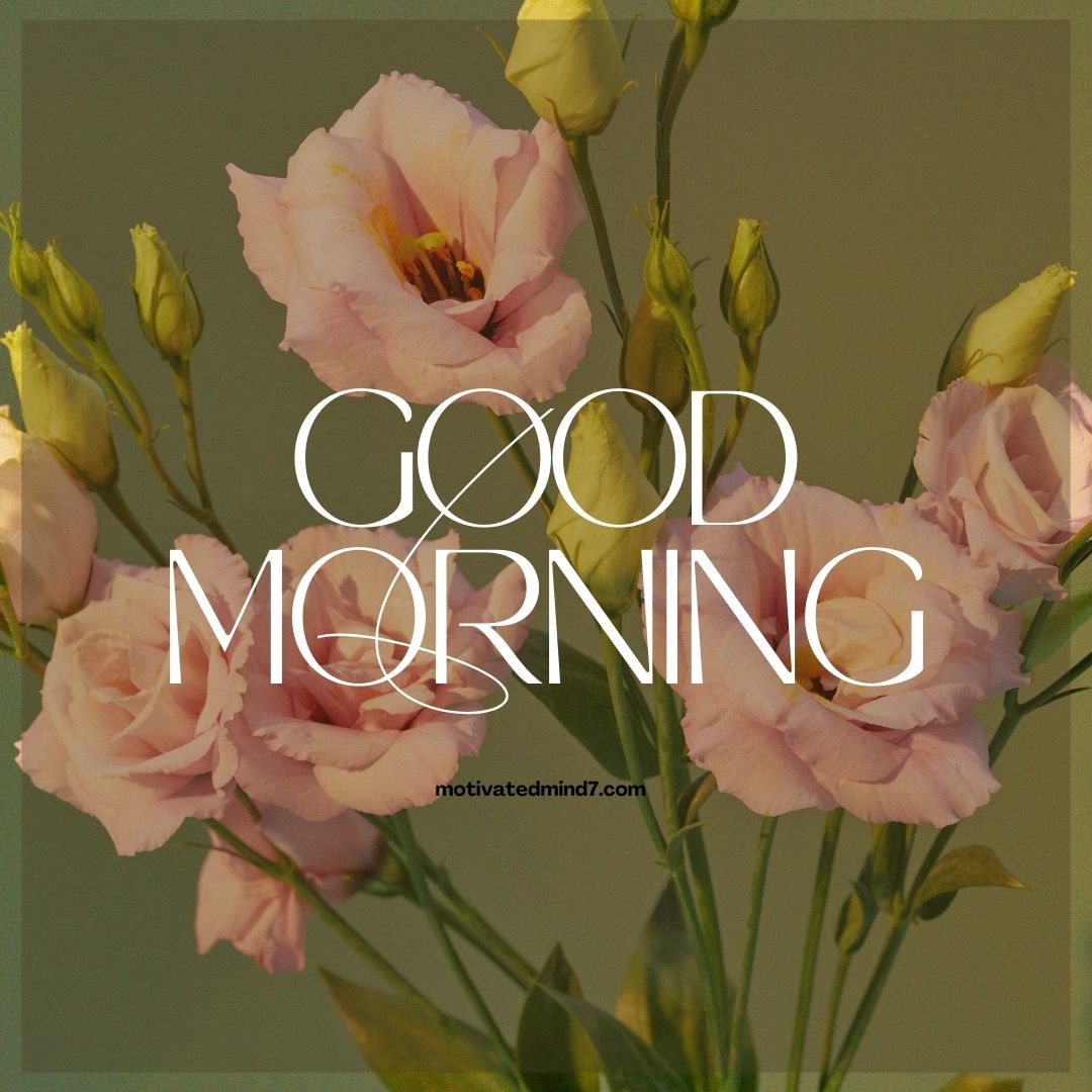 good morning flower images