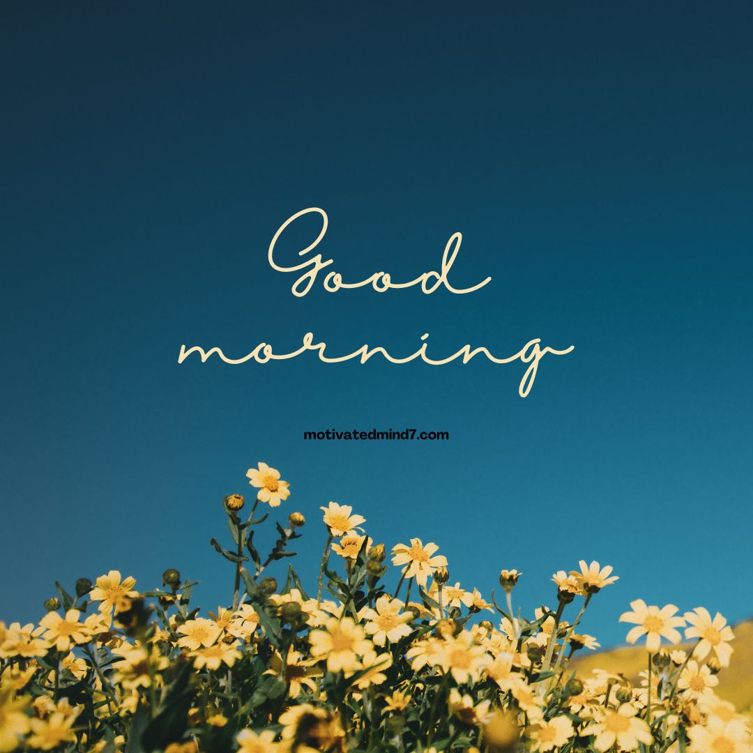 good morning flower images