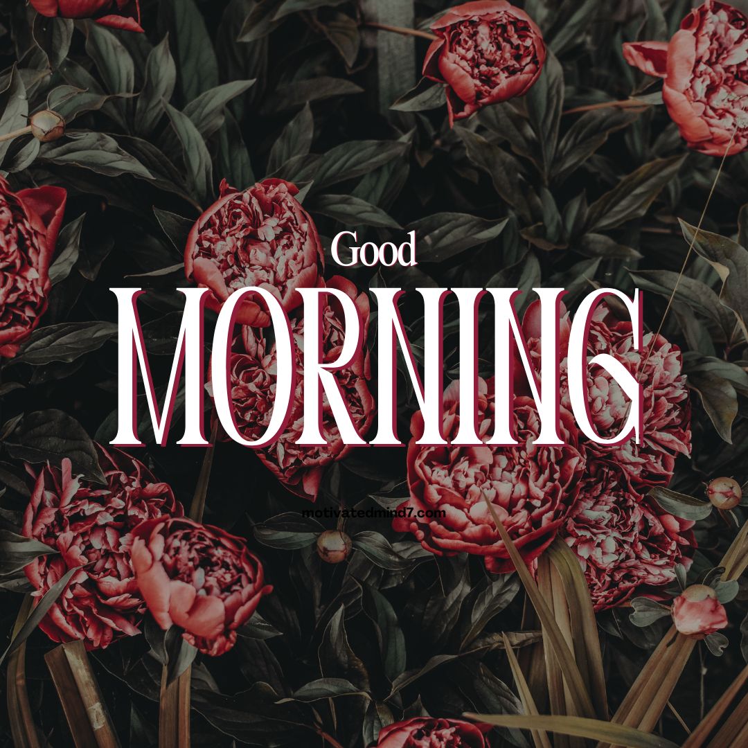 good morning flower images