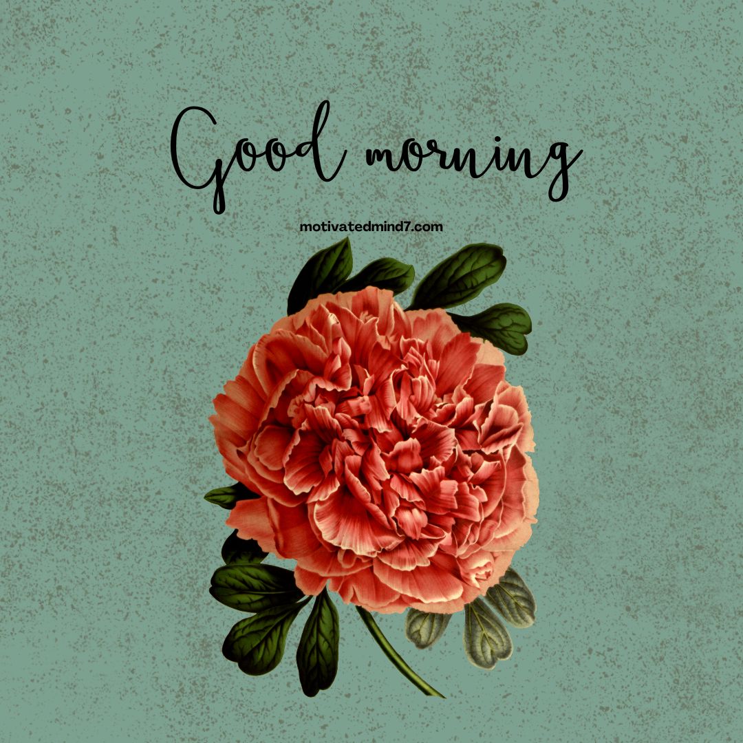 good morning flower images