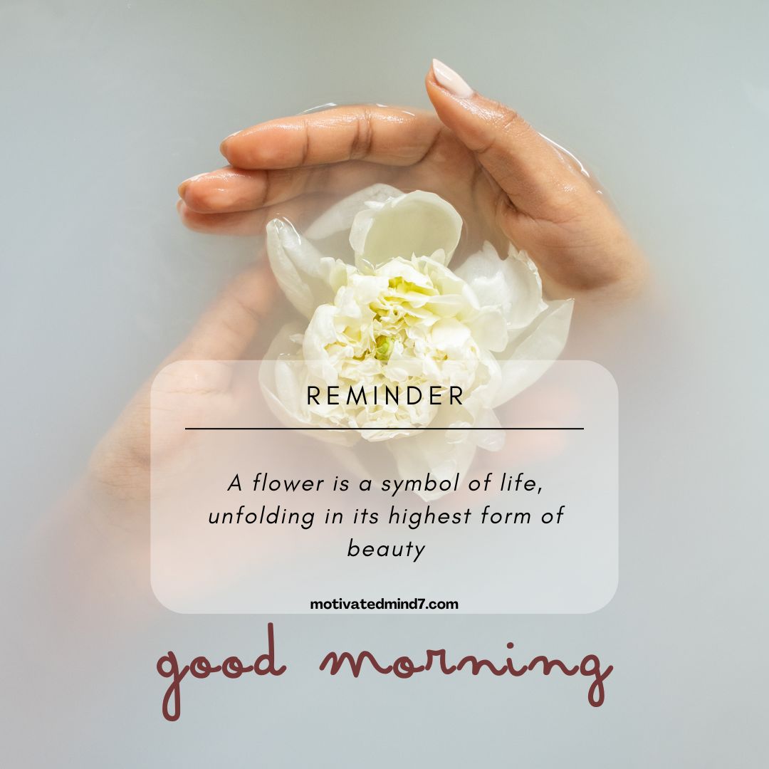 good morning flower images