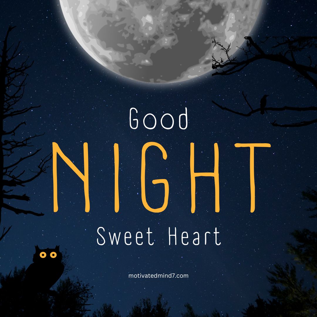 "A tranquil night scene featuring a detailed full moon in the upper part of the image against a dark, star-filled sky. Silhouettes of trees and branches frame the scene. An owl with glowing yellow eyes is perched on a branch in the lower left corner, while another bird is perched on a branch in the upper right.