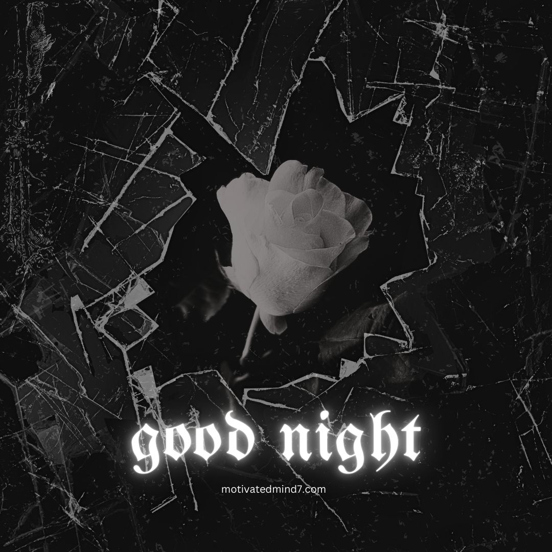 An inspirational good night image featuring a single white rose in the center, surrounded by a shattered glass effect. The contrast between the delicate rose and the broken glass creates a striking visual effect.