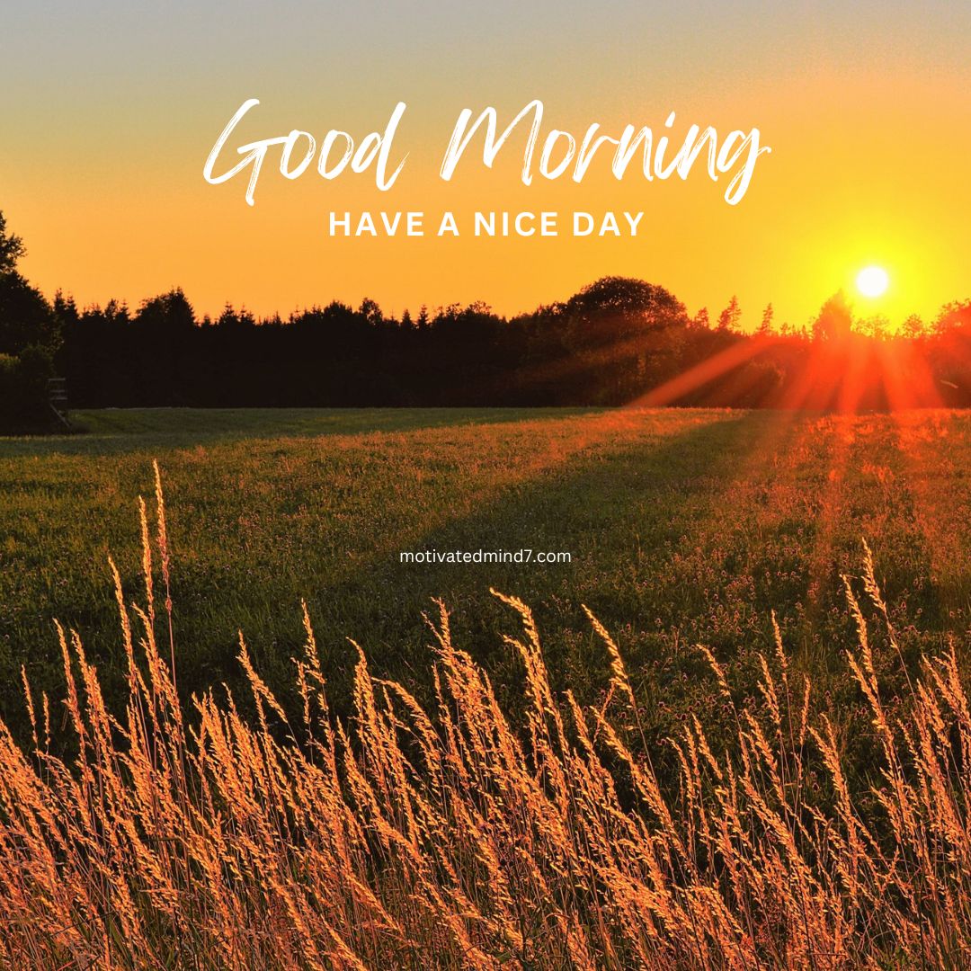20+ Best Good Morning Images with Quotes to Inspire and Uplift Your Day 17 good morning images with quotes