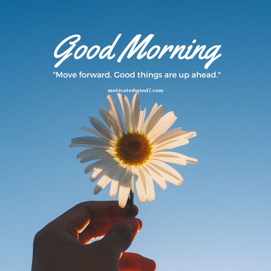 20+ Best Good Morning Images with Quotes to Inspire and Uplift Your Day 18 good morning images with quotes